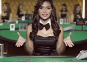 赏金国际vip登录入口2024最新版